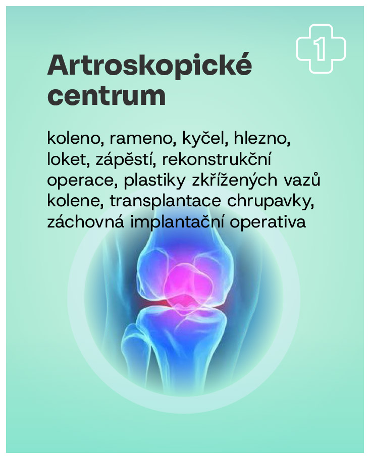 Obrázek 1