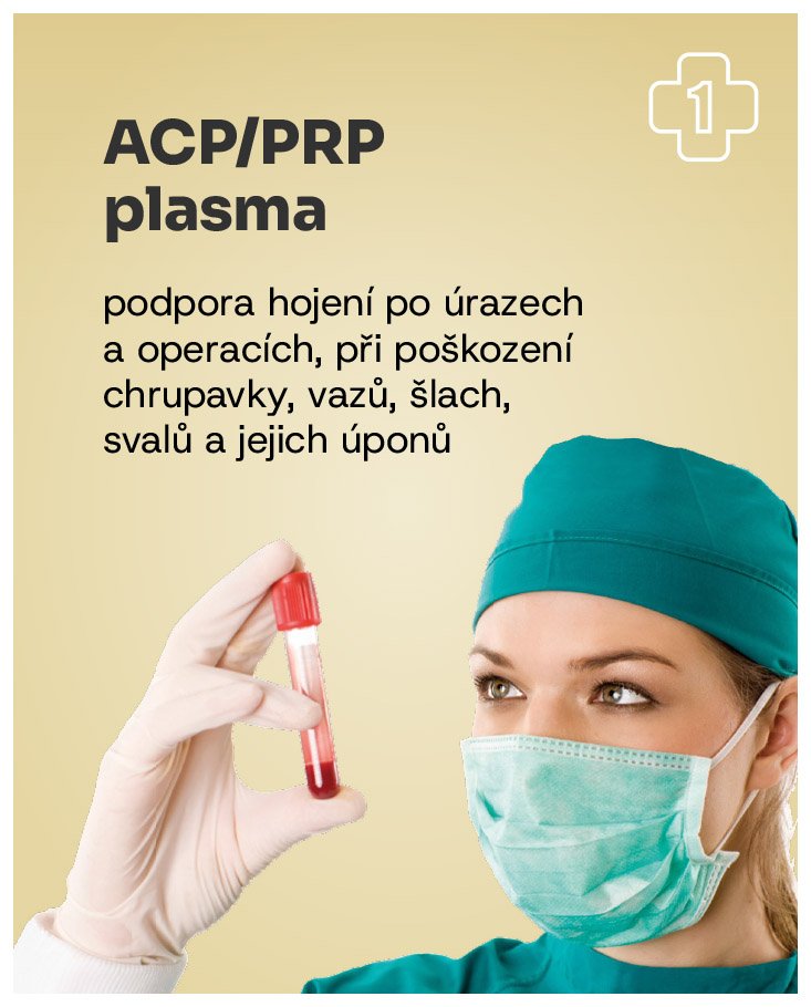Obrázek 4