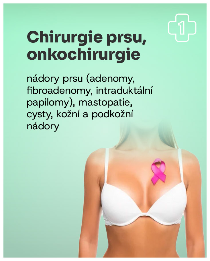 Obrázek 8