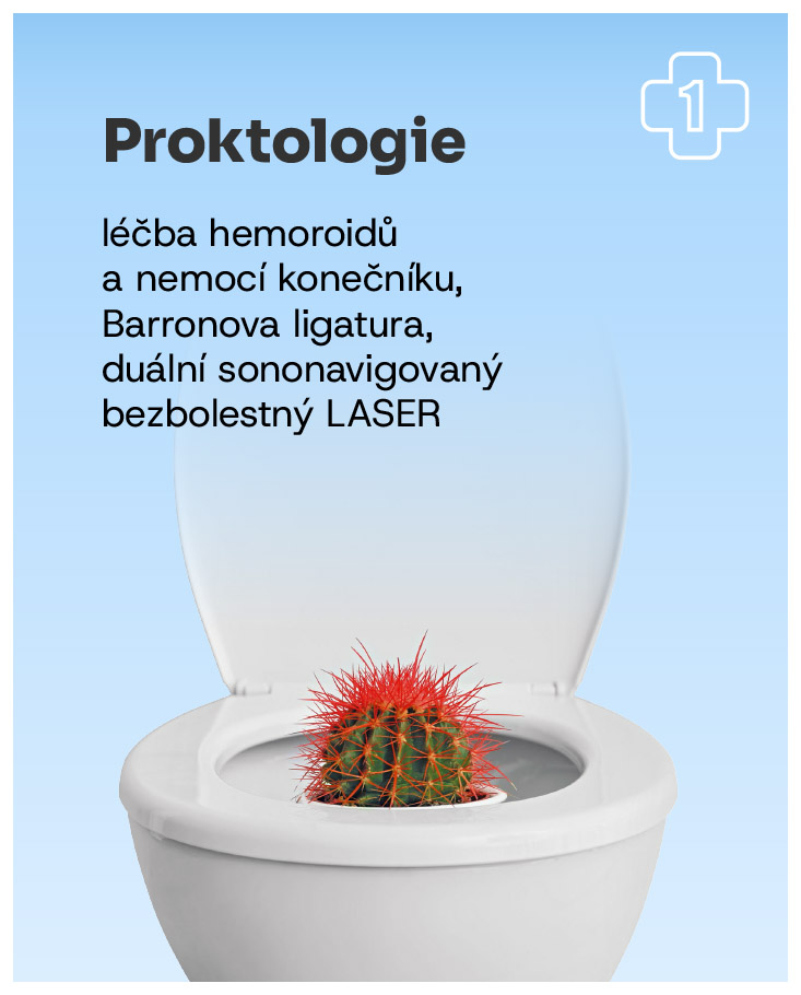 Obrázek 9