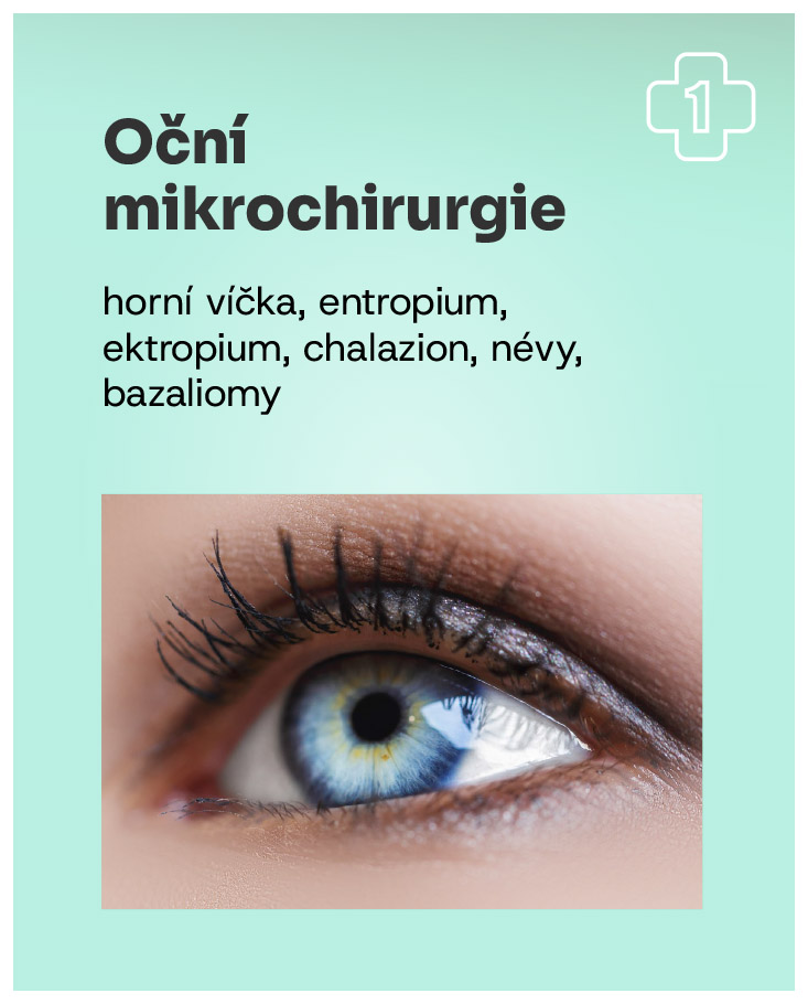 Obrázek 13